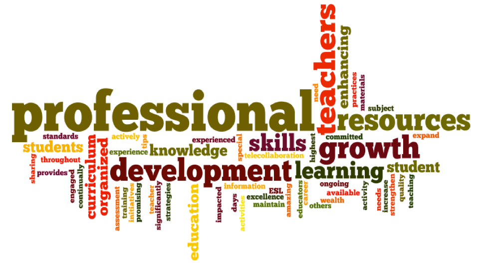 profesionnaldevelopment lms